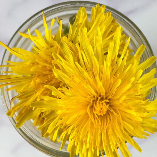 Dandelion Vinegar (So Simple!) - Recipe photo by summeryule.com