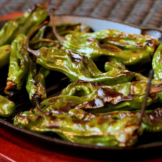 Blistered Shishito Peppers - Recipe photo by CouponClippingCook