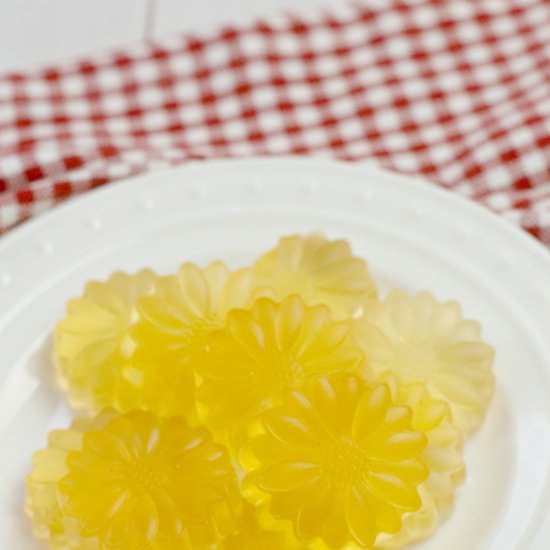 Homemade Apple Cider Vinegar Gummie - Recipe photo by scentednights2002