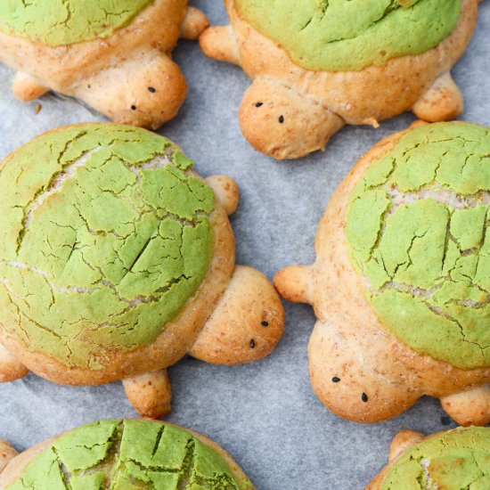Turtle Brioche Buns - Recipe photo by aVegTasteFromAtoZ