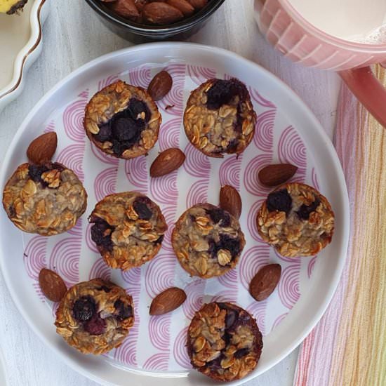 baked oatmeal bites - Recipe photo by Mildlyindian