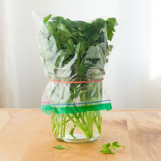 How to Store Fresh Herbs - Recipe photo by toaster oven love