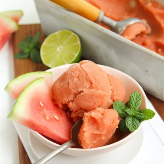 Watermelon Mojito Sorbet - Recipe photo by fANNEtastic food