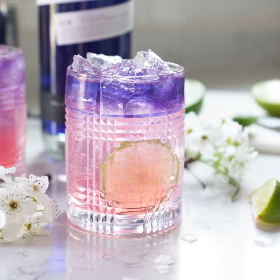 Spring Fling Gin Cocktail - Recipe photo by superman cooks