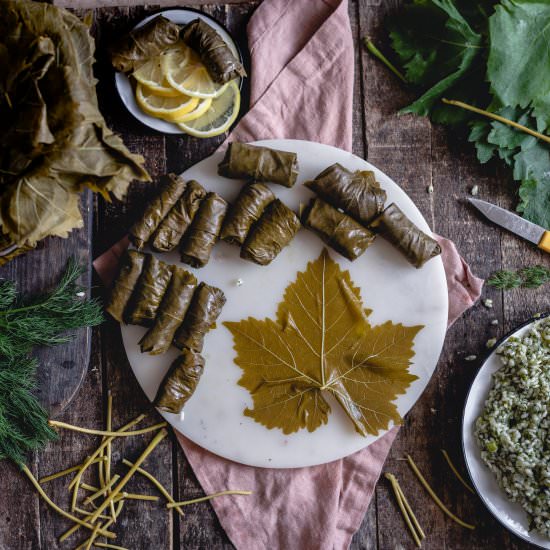 Stuffed vine leaves - Recipe photo by tetisflakes