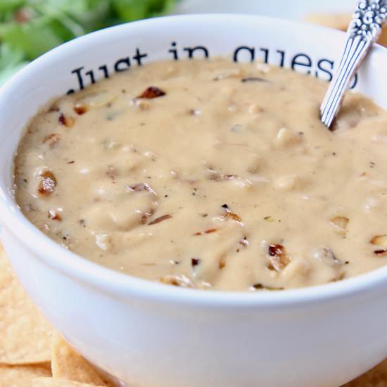French Onion Dip Queso - Recipe photo by Whitney Bond