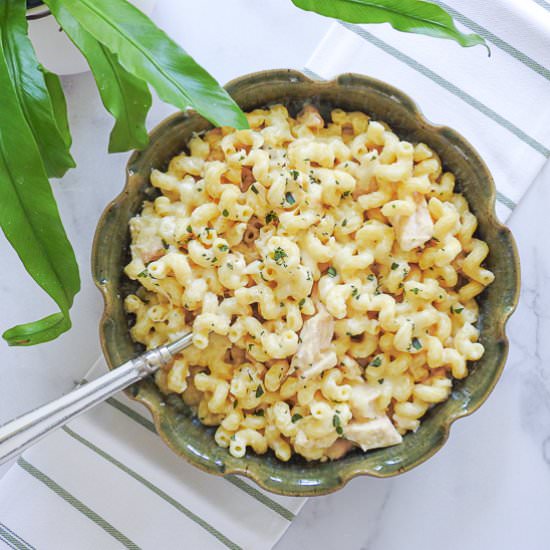 Chicken Cavatappi - Recipe photo by House of Elyn Ryn