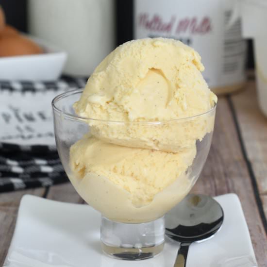 Malted Milk Ice Cream - Recipe photo by eileen.baking-sense