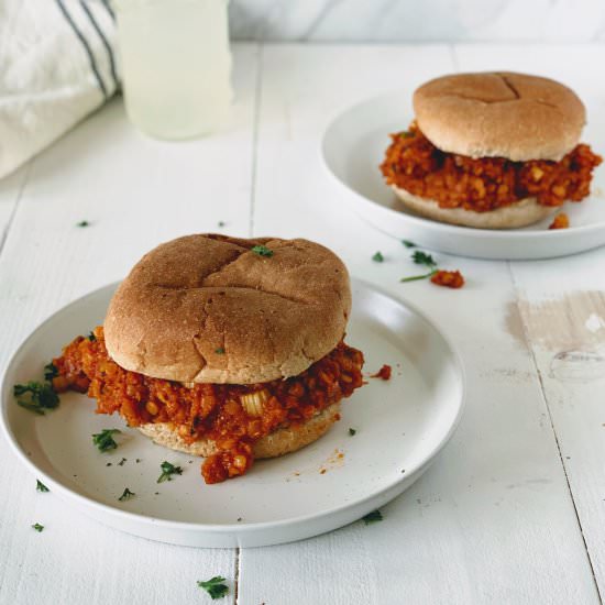 Vegetarian Sloppy Joes - Recipe photo by greenseggsandyams