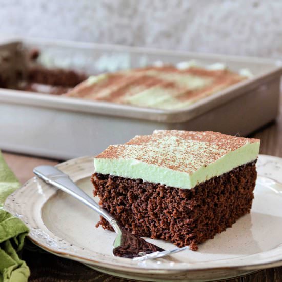 Mint Chocolate Sheetcake - Recipe photo by onlinepastrychef