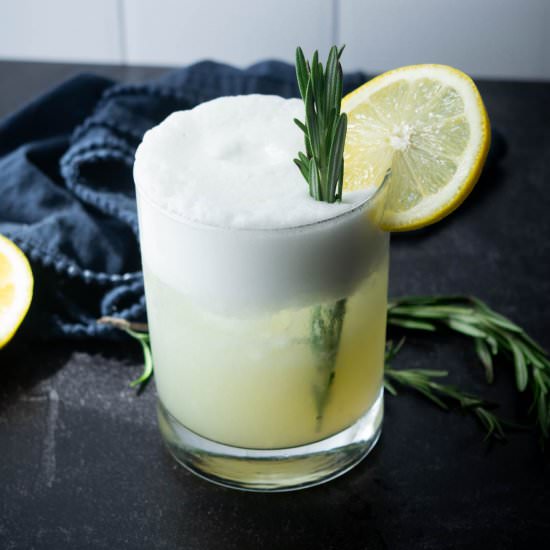 Rosemary-Lemon Gin Fizz - Recipe photo by JawnsICooked