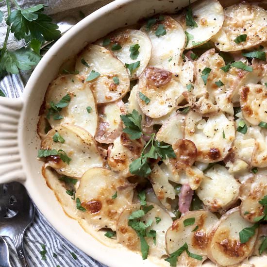 potato gratin with beans & ham - Recipe photo by ahintofrosemary