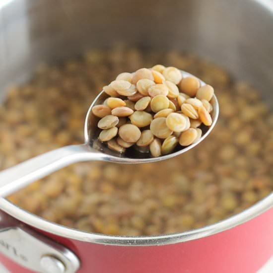 How to Cook Lentils - Recipe photo by thehonoursystem