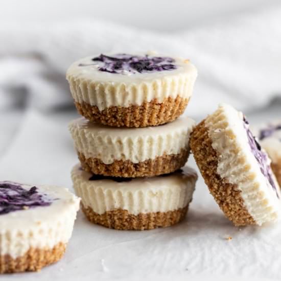 No-Bake Blueberry Cheesecake Bites - Recipe photo by SuchASweetheart