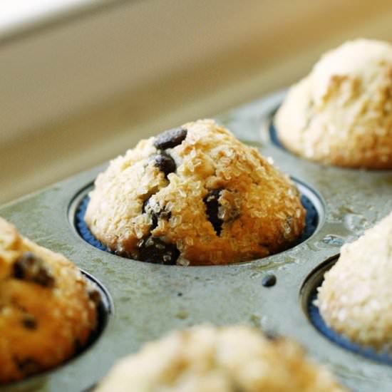 Chocolate Chip Muffins - Recipe photo by LunchBoxLadies