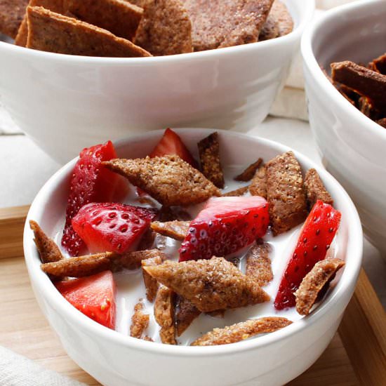 SOURDOUGH CEREAL SNACK (GF/V) - Recipe photo by fresh is real
