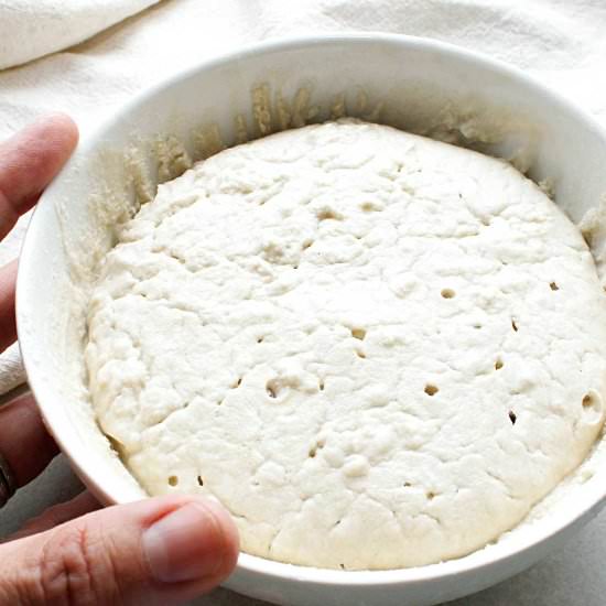 EASIEST GF SOURDOUGH STARTER - Recipe photo by fresh is real