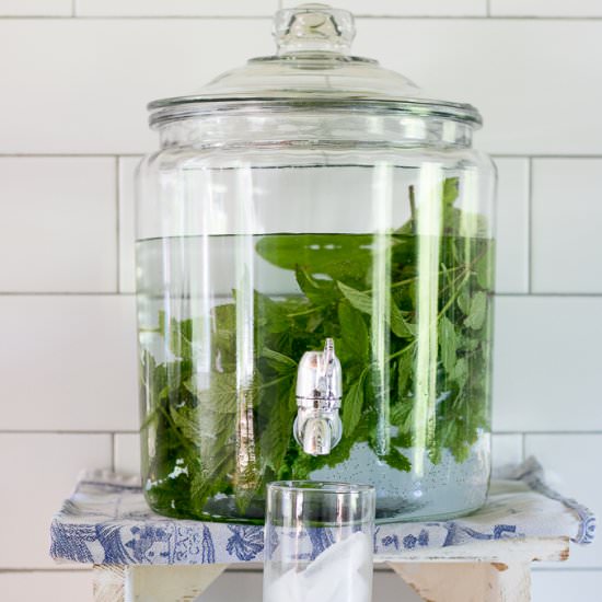 Mint Water - Recipe photo by LifesLittleSweets
