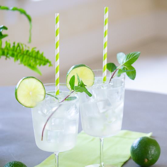 Jalapeno Limeade - Recipe photo by House of Elyn Ryn