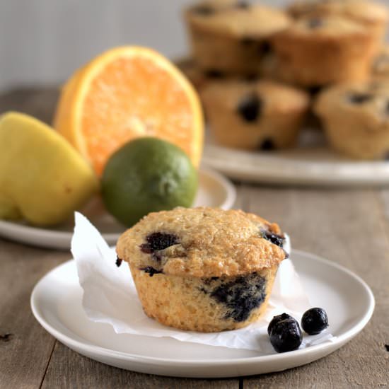 citrus blueberry muffins - Recipe photo by davebakes