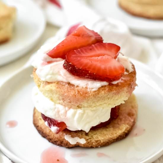 Homemade Strawberry Shortcake - Recipe photo by stressbaking