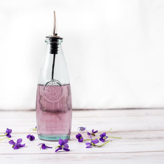 Homemade Wild Violet Syrup - Recipe photo by hearthandvine