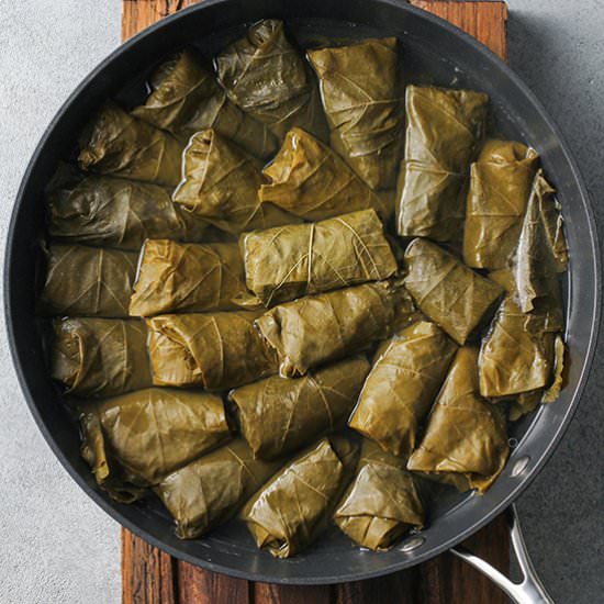 Dolma (Stuffed Grape Leaves) - Recipe photo by bellyfull