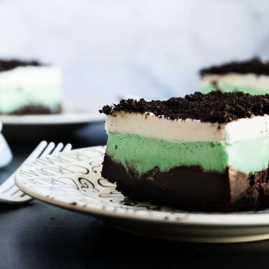 Mint Chocolate Chip Ice Cream Cake - Recipe photo by josieandnina