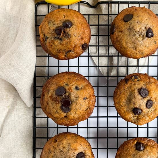 Chocolatey Banana Muffins - Recipe photo by Tidbitsbytaylor