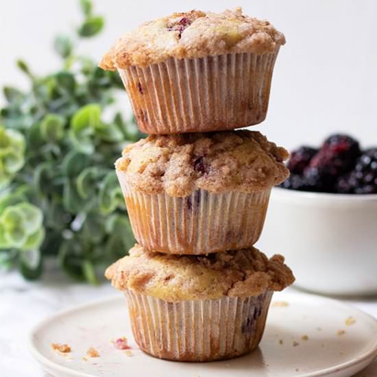 Blackberry Streusel Muffins - Recipe photo by thebakersalmanac