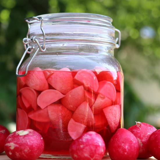 Sweet and Sour Pickled Radishes - Recipe photo by Sprinkleofsesame