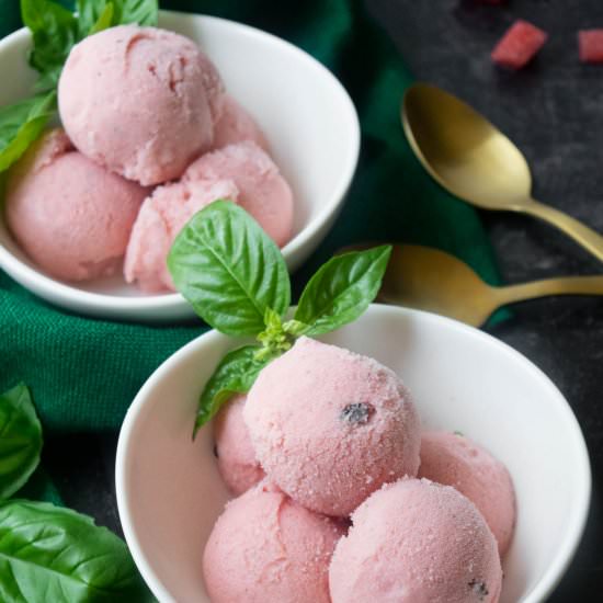 Watermelon Basil Sherbet - Recipe photo by JawnsICooked