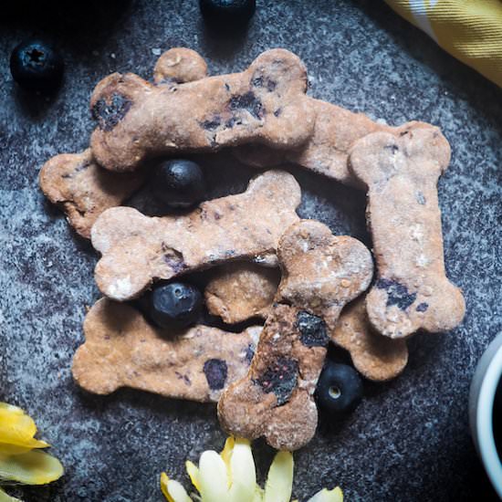 Crunchy Blueberry Dog Treats - Recipe photo by southernbytes