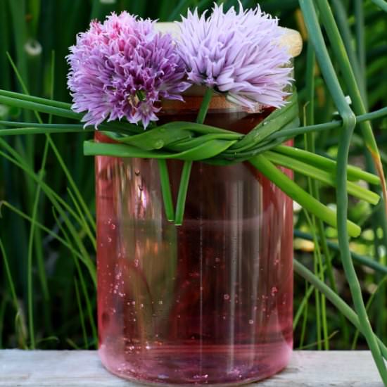 How to Make Chive Blossom Vinegar - Recipe photo by dishnthekitchen