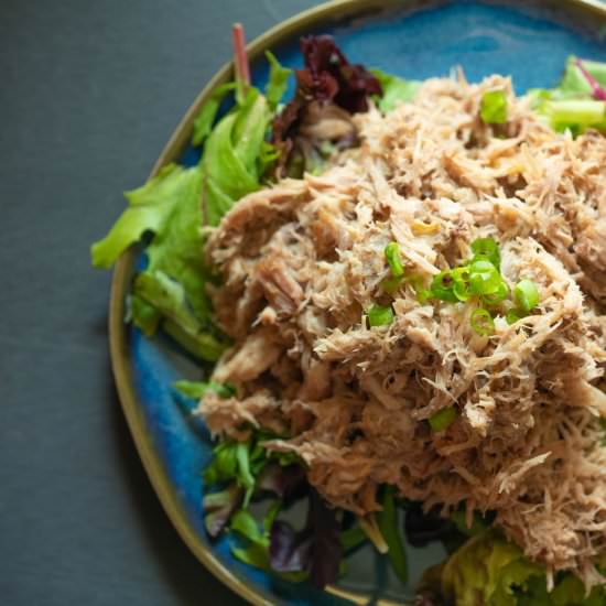 Kalua Pork - Recipe photo by Adventures of Carlienne