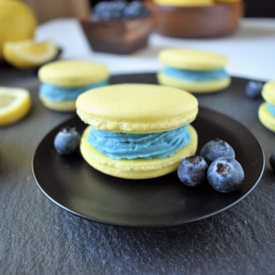 Lemon Blueberry Vegan Macarons - Recipe photo by TheHomeBakedVegan