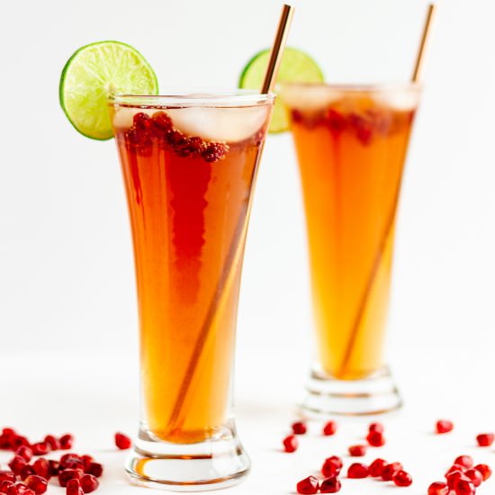 Pomegranate Lime Spritzer Cocktail - Recipe photo by mapleandmango