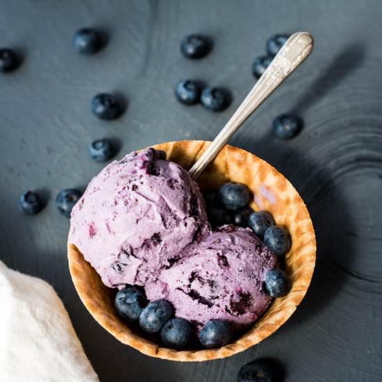 Blueberry Ice Cream - Recipe photo by RNsKitchen
