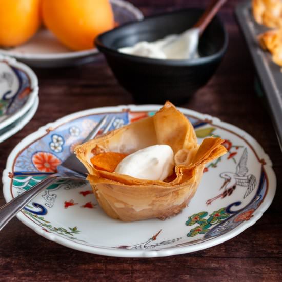 Mini Apricot Tarts - Recipe photo by Healthy World Cuisine
