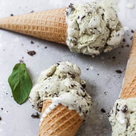 Mint Chocolate Chip Ice Cream - Recipe photo by thesweetoccasion