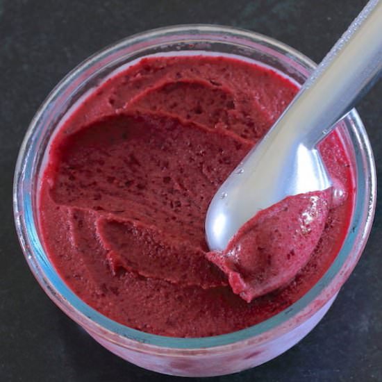 How To Make Creamy Sorbet - Recipe photo by A Life Well Planted