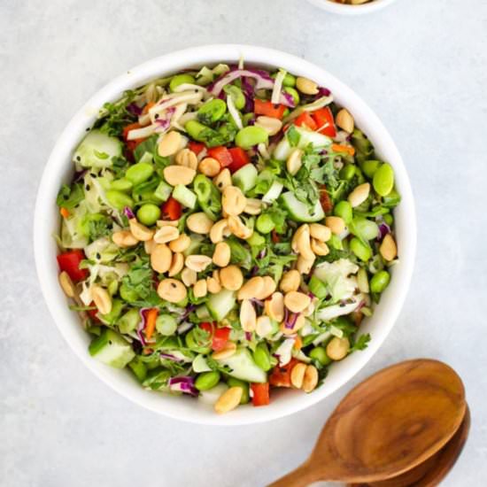 Cabbage Slaw w/ Ginger Dressing - Recipe photo by FitLiving Eats