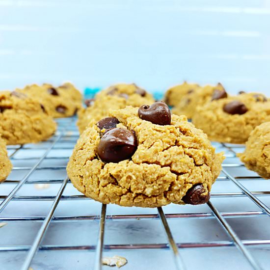 Chickpea Chocolate Chip Cookies - Recipe photo by bpoulsonrd