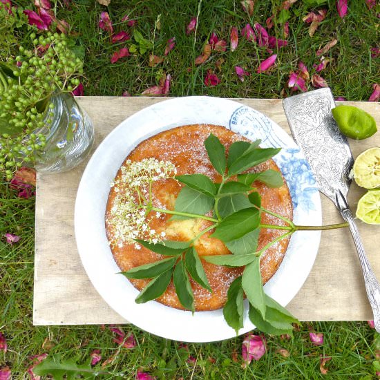 Elderflower and Lime Drizzle Cake - Recipe photo by thespeltkitchen