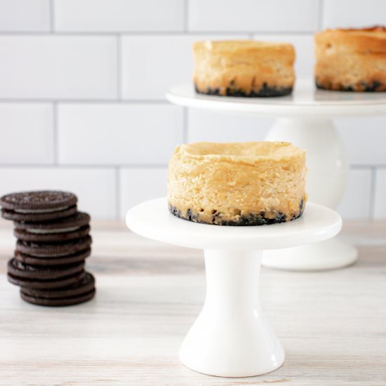 Peanut Butter Oreo Mini Cheesecakes - Recipe photo by saltandsprinkles
