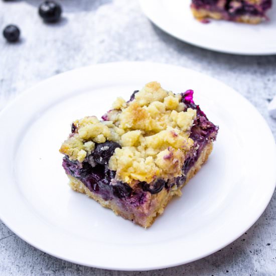 Blueberry Lemon Bars - Recipe photo by BeyondtheCoop