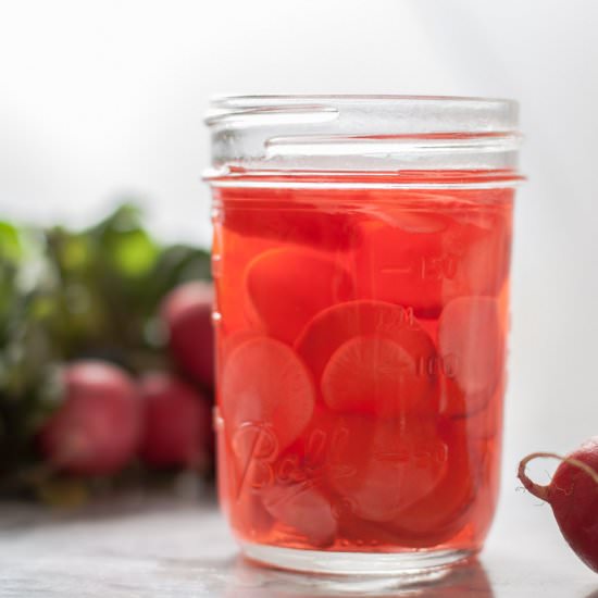 Quick Pickled Radishes - Recipe photo by mountainberry_eats