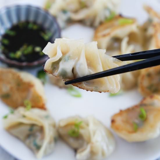 PORK AND CHIVE DUMPLINGS RECIPE - Recipe photo by cookingwithteamj