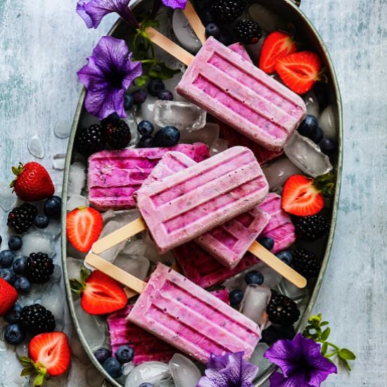 triple berry yogurt popsicles - Recipe photo by Give it Some Thyme