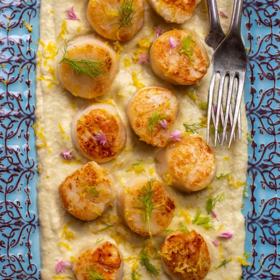 Seared Scallops with Fennel Puree - Recipe photo by primalwellnesscoach